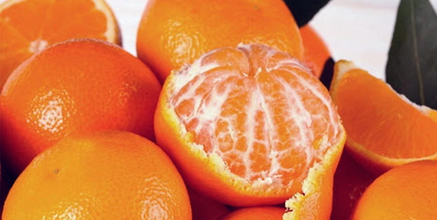 CLEMENTINE DI CALABRIA IGP, RICCHE DI MINERALI